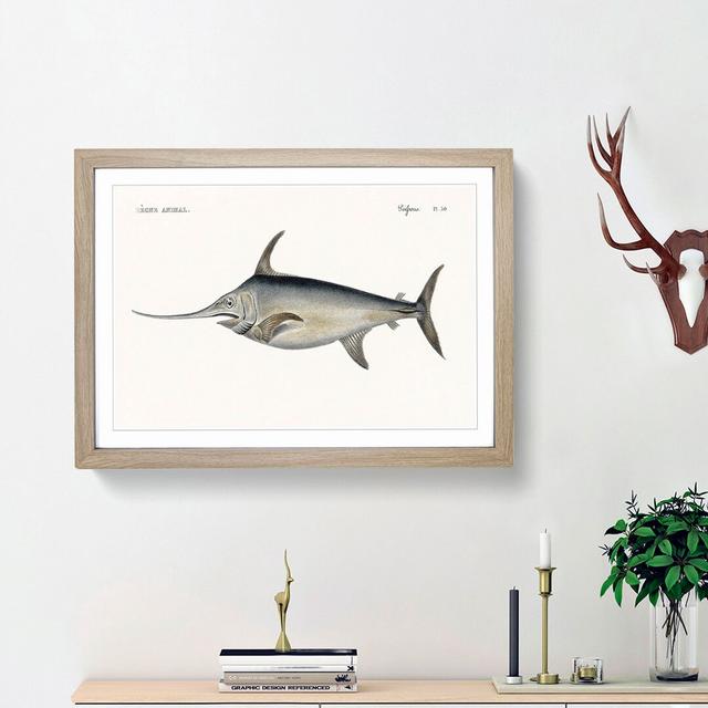 Blue Marlin by Georges Cuvier - Picture Frame Graphic Art Print on MDF East Urban Home Frame Option: Oak Framed, Size: 36cm H x 48cm W x 2cm D on Productcaster.