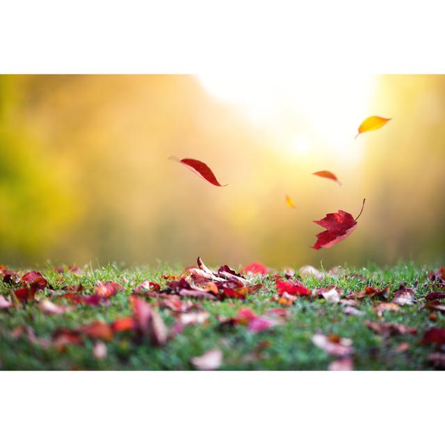 Falling Autumn Leaves von Borchee - Kunstdrucke auf Leinwand ohne Rahmen 17 Stories Größe: 20 cm H x 30 cm B on Productcaster.