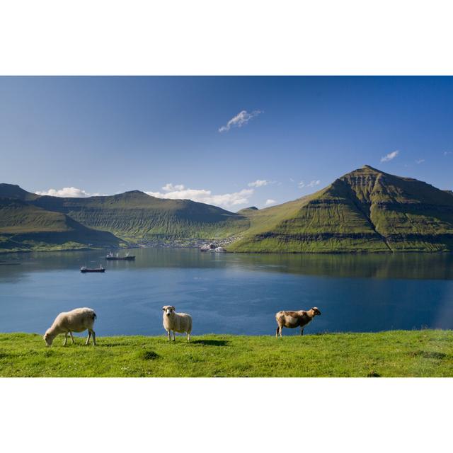 Grazing Sheep by Lazmi - Wrapped Canvas Photograph Alpen Home Size: 30cm H x 46cm W on Productcaster.