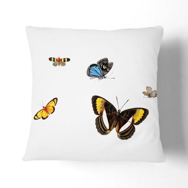 Five Butterflies by Herman Henstenburgh Cushion with Filling East Urban Home Size: 55cm H x 55cm W x 20cm D, Backing Colour: Stone on Productcaster.