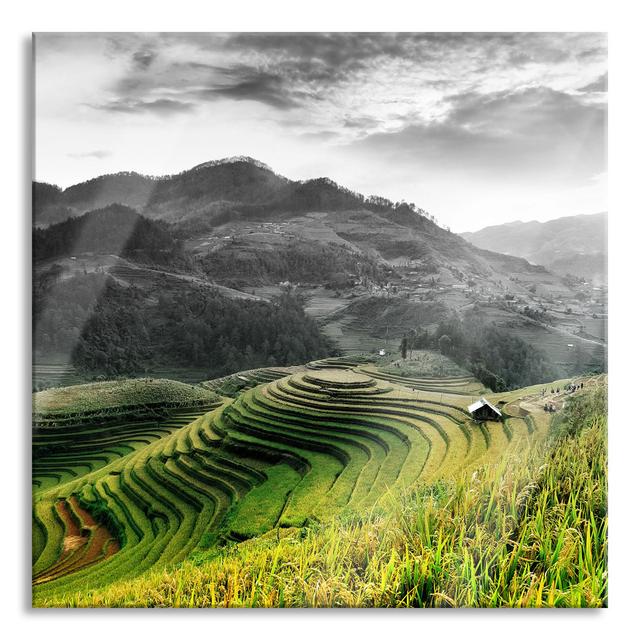 Glasbild Rice Fields in Vietnam Union Rustic Größe: 80 cm H x 80 cm B x 0.4 cm T on Productcaster.