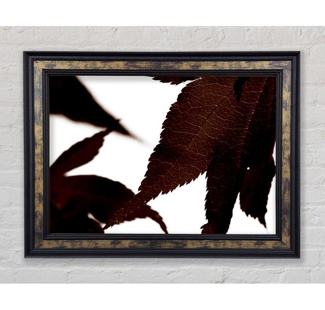 Brown Autumn Leaf - Print Bright Star Size: 42cm H x 59.7cm W on Productcaster.