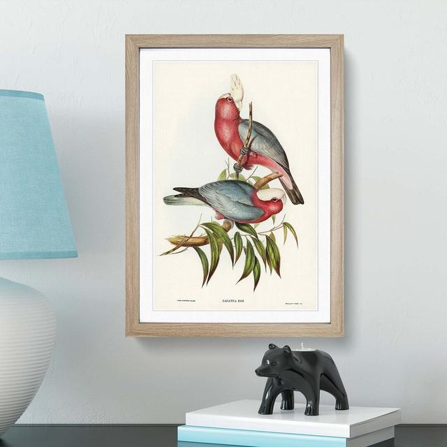 Rose-Breasted Cockatoos by Elizabeth Gould - Picture Frame Graphic Art Print East Urban Home Size: 76cm H x 50cm W x 2cm D, Frame Option: Oak on Productcaster.