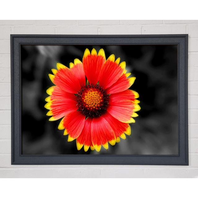 Single Picture Frame Art Prints Ebern Designs Size: 42cm H x 59.7cm W on Productcaster.