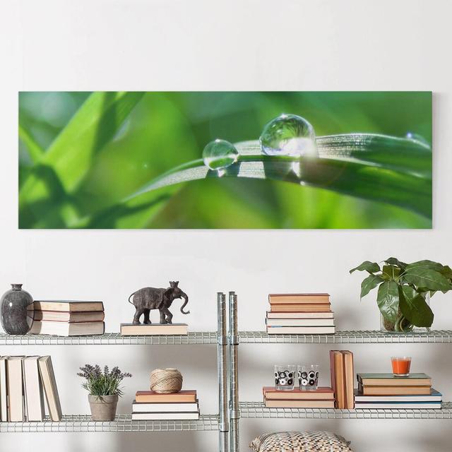 Green Ambiance II - Wrapped Canvas Photograph Ebern Designs Format: Canvas 260g/m², Size: 70cm H x 200cm W on Productcaster.