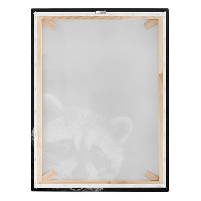 Raccoon by Laura Graves - Wrapped Canvas Graphic Art Union Rustic on Productcaster.