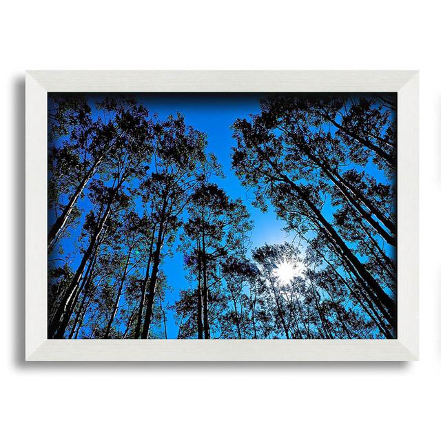 Blue Tree Top Skys - Single Picture Frame Art Prints Brayden Studio Size: 29.7cm H x 42cm W on Productcaster.