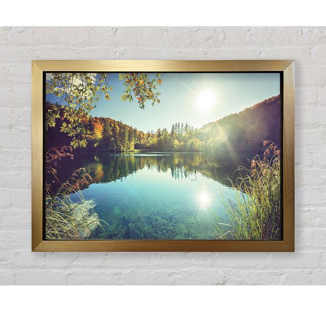 View Of The Lake Through The Branches Framed Print Bright Star on Productcaster.