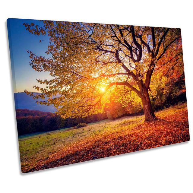 Autumn Beech Tree Sunrise CANVAS WALL ART Print Picture Orange Ebern Designs Size: 30.5cm H x 45.7cm W x 2cm D on Productcaster.