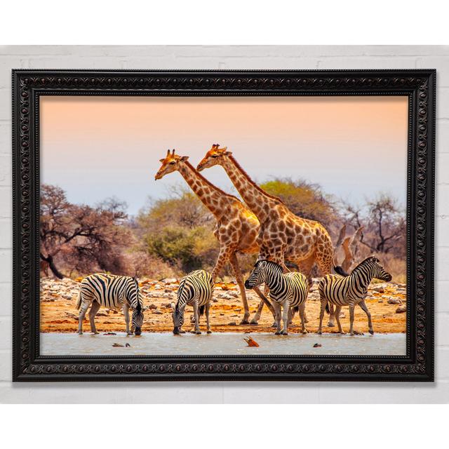 Safari Watering Hole Framed Print Bright Star Size: 59.7cm H x 84.1cm W on Productcaster.