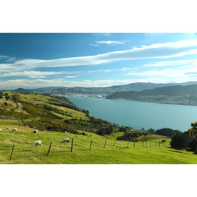 Dunedin, New Zealand by SW_arts - Print Latitude Run Size: 51cm H x 76cm W x 3.8cm D on Productcaster.