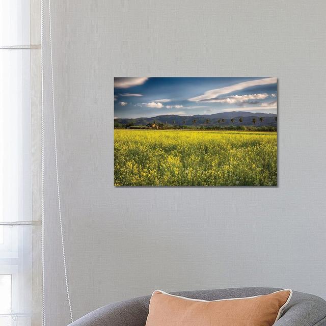 Napa Valley Spring Vista With Blooming Yellow Mustard by George Oze - Wrapped Canvas Print Latitude Run Size: 45.72cm H x 66.04cm W x 3.81cm D on Productcaster.