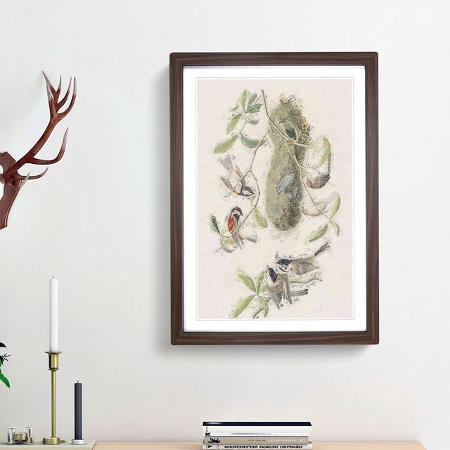 Titmouse Birds by John Audubon - Picture Frame Painting Print East Urban Home Size: 36cm H x 27cm W x 2cm D, Frame Option: Walnut Framed on Productcaster.