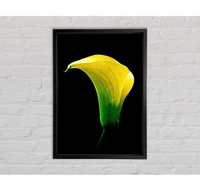 Stunning Night Lily Framed Print Ebern Designs Size: 84.1cm H x 118.9cm W on Productcaster.