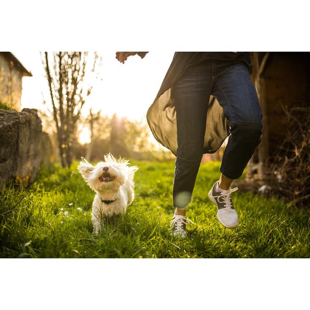 Wonderful Day With My Dog Outdoors by Miodrag Ignjatovic - No Frame Print on Canvas Latitude Run Size: 81cm H x 122cm W on Productcaster.