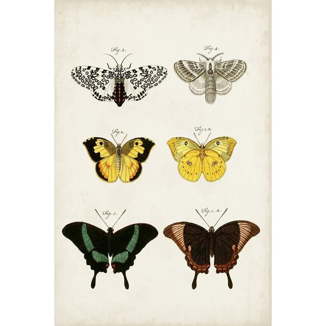 Vintage Butterflies VI - Wrapped Canvas Painting August Grove Size: 91cm H x 61cm W x 3.8cm D on Productcaster.