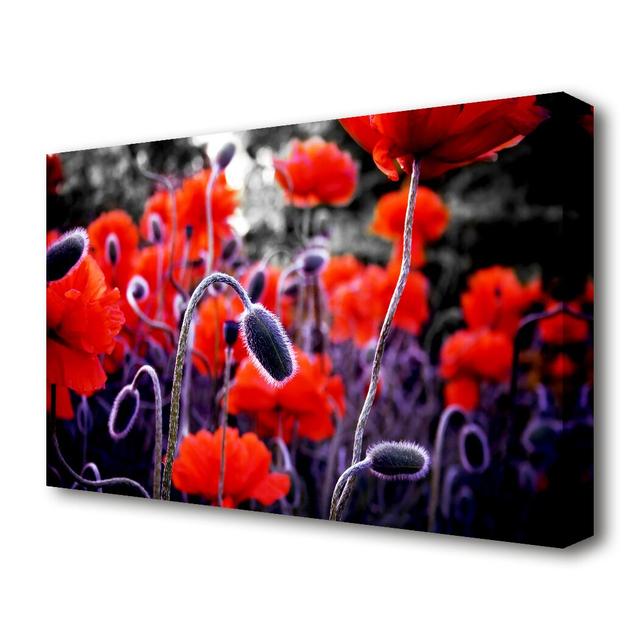 Field Of Red Poppys Flowers Canvas Print Wall Art East Urban Home Size: 101.6 cm H x 142.2 cm W on Productcaster.