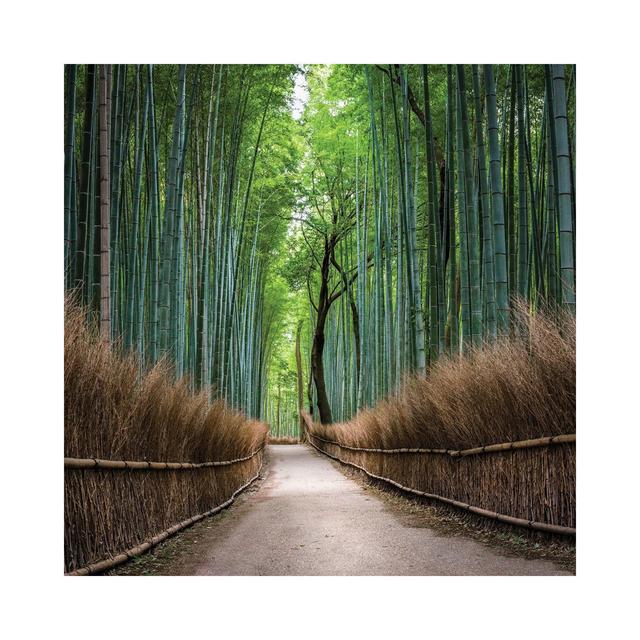 Arashiyama Bamboo Forest, Kyoto, Japan by Jan Becke - Wrapped Canvas Print Alpen Home Size: 45.72cm H x 45.72cm W x 3.81cm D on Productcaster.