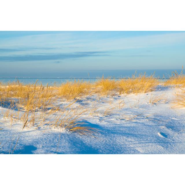 Cloninger Sand Dunes Under Snow - Wrapped Canvas Photograph House of Hampton Size: 61cm H x 91cm W x 3.8cm D on Productcaster.