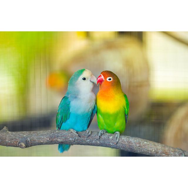 Lovebird Kiss - Wrapped Canvas Photograph Bay Isle Home Size: 20cm H x 30cm W x 3.8cm D on Productcaster.