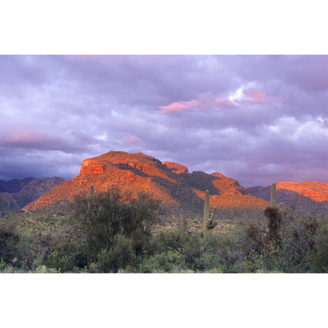 Alpenglow At Sabino Canyon by Cay-Uwe - No Frame Art Prints on Canvas Alpen Home Size: 61cm H x 91cm W on Productcaster.