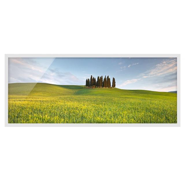 Greenfield in Tuscany - Picture Frame Photograph Brayden Studio Size: 30cm H x 75cm W x 2cm D, Frame Option: White Framed on Productcaster.