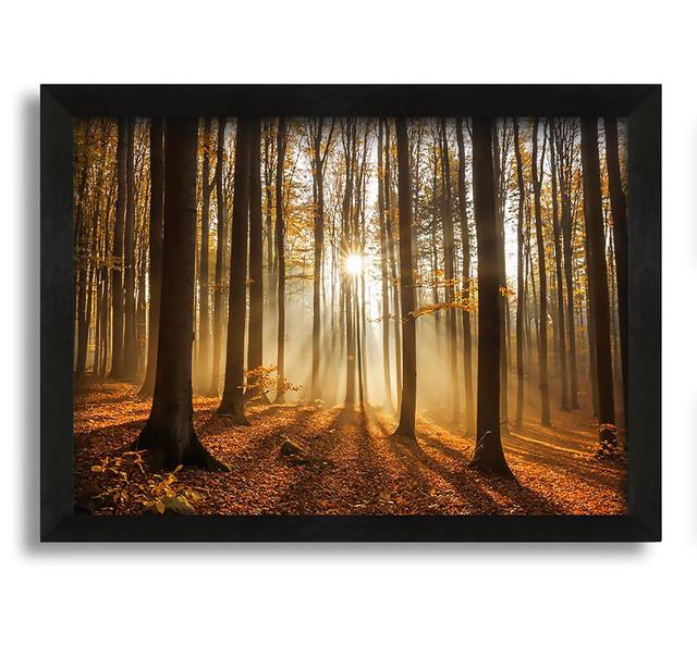 Sunbeam Forest in the Misty Hues - Picture Frame Photograph on Canvas Union Rustic Size: 42cm H x 60cm W x 10cm D on Productcaster.