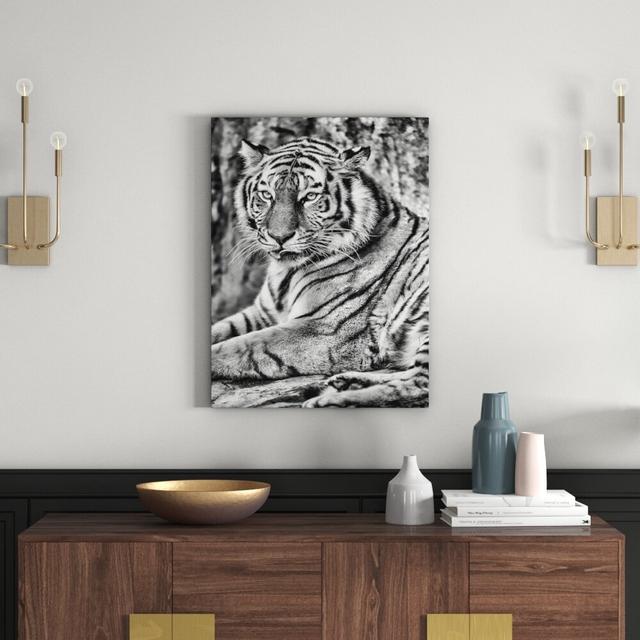 Leinwandbild Schöner Tiger beim Putzen in Monochrom East Urban Home Größe: 120 cm H x 80 cm B on Productcaster.