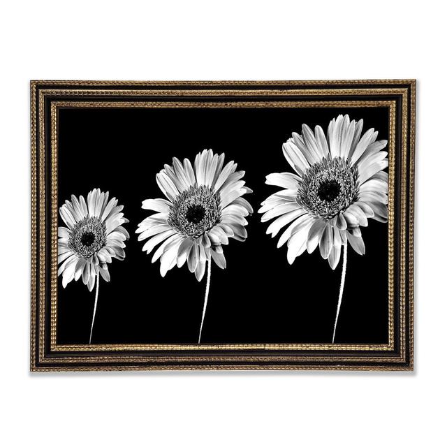 Single Picture Frame Art Prints Ebern Designs Size: 84.1cm H x 118.9cm W x 3cm D on Productcaster.