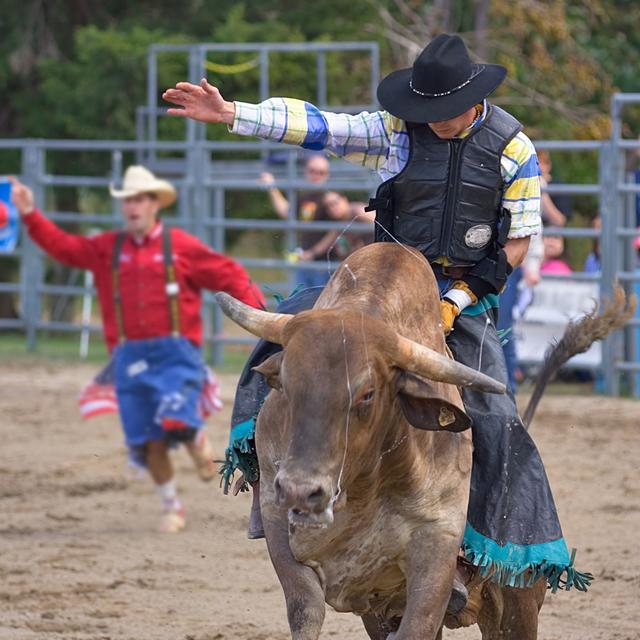 Rodeo Cowboy by Red_moon_rise - No Frame Print on Canvas 17 Stories Size: 76cm H x 76cm W on Productcaster.