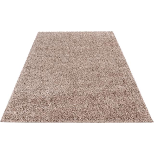 Omi Uni Machine Woven Area Rug 17 Stories Colour: Taupe, Rug Size: Rectangular 120 x 170cm on Productcaster.