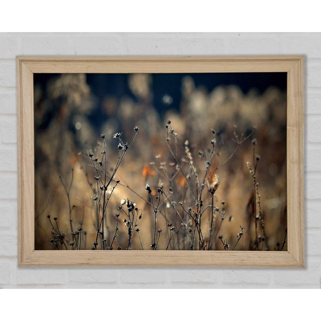 Autumn Just Before Winter - Print Brayden Studio Size: 84.1cm H x 118.9cm W x 1.5cm D on Productcaster.