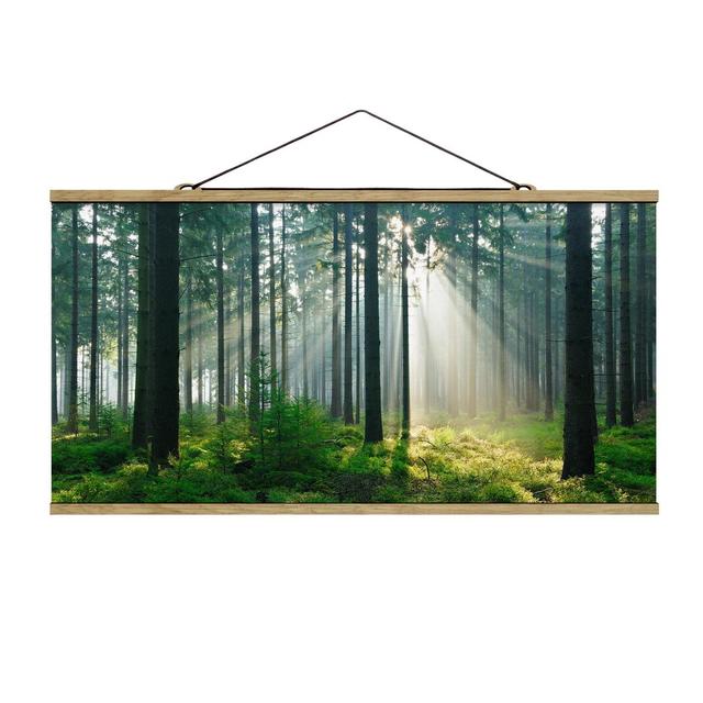 Fotodruck Enlightened Forest Union Rustic Maße: 50 cm H x 100 cm B x 0,3 cm T on Productcaster.