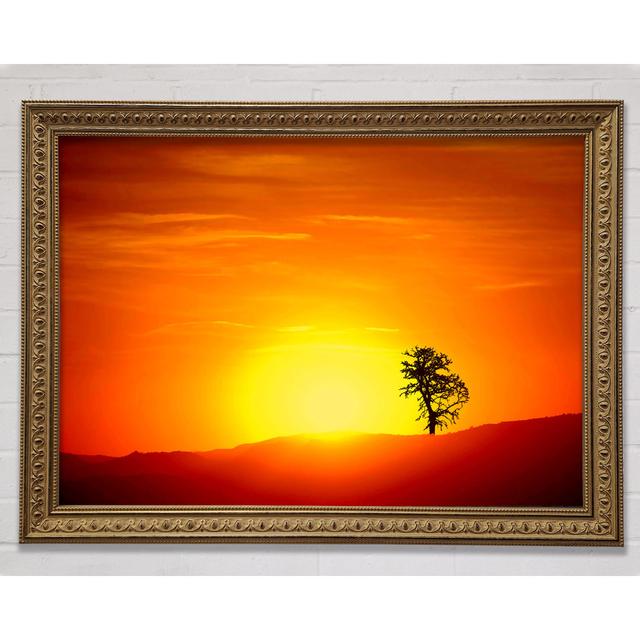 As The Sun Sets - Single Picture Frame Art Prints Bright Star Size: 84.1cm H x 118.9cm W on Productcaster.