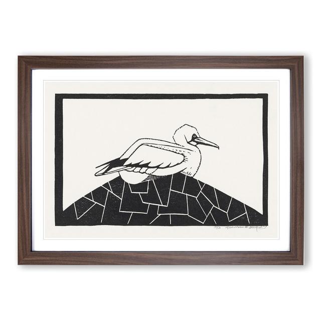 Gannet Bird by Samuel De Mesquita - Picture Frame Painting East Urban Home Size: 48cm H x 65cm W x 2cm D, Frame Option: Walnut Framed on Productcaster.