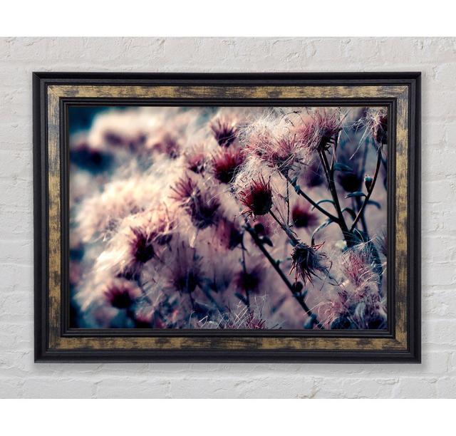 Cotton Buds - Single Picture Frame Art Prints Bright Star Size: 21cm H x 42cm W x 8cm D on Productcaster.