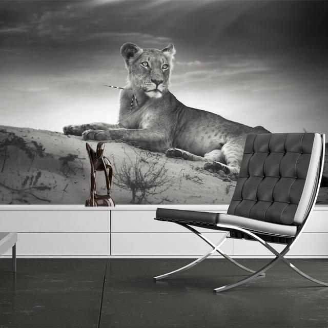 Glatte Fototapete Lioness in Black and White East Urban Home Größe: 300 cm x 231 cm on Productcaster.