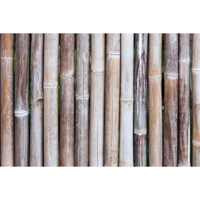 Bamboo Background by Webphotographeer - No Frame Art Prints on Canvas 17 Stories Size: 30cm H x 46cm W on Productcaster.