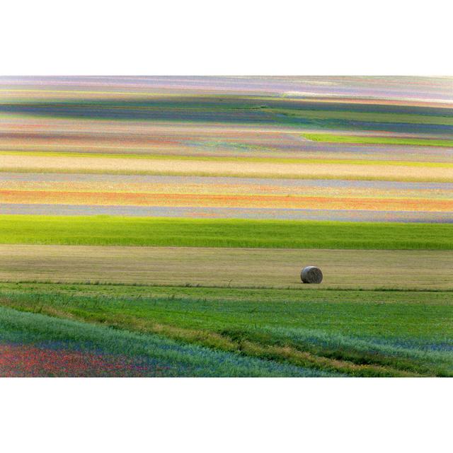 Castelluccio Di Norcia von Pavliha - Kunstdrucke auf Leinwand Marlow Home Co. Größe: 30 cm H x 20 cm B on Productcaster.