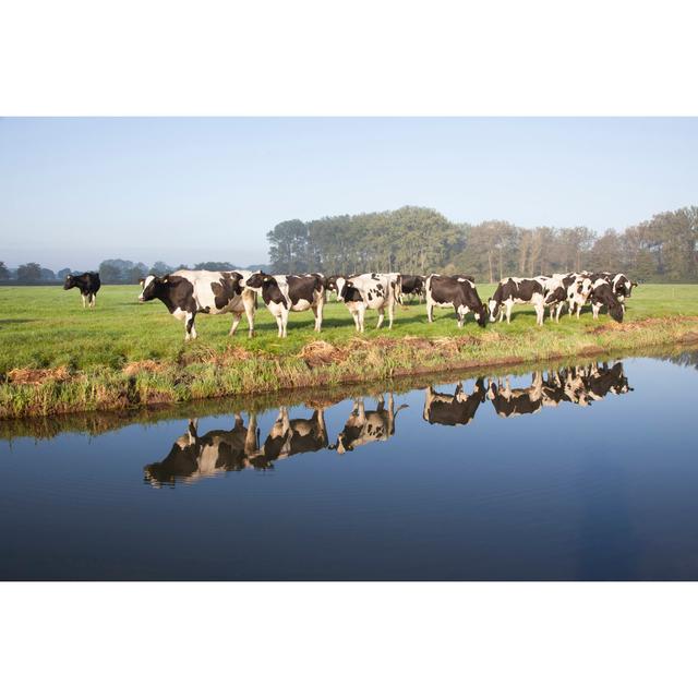 Cows Grazing On Meadow by Ahavelaar - Wrapped Canvas Print Brambly Cottage Size: 30cm H x 46cm W on Productcaster.