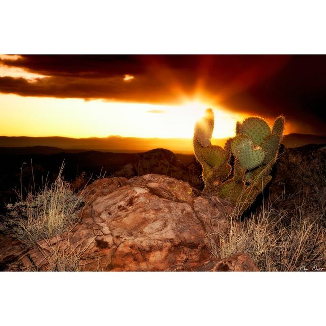 Sunset In The Desert V - Wrapped Canvas Print Gracie Oaks Size: 30cm H x 46cm W x 3.8cm D on Productcaster.