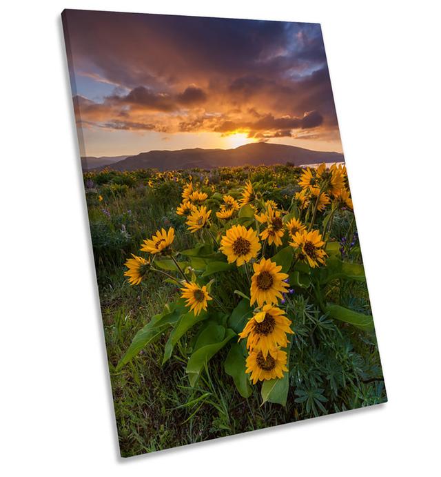 Wild Flowers Sunset Mountain Framed CANVAS WALL ART Picture Print Brambly Cottage Size: 54cm H x 36cm W x 4cm D on Productcaster.