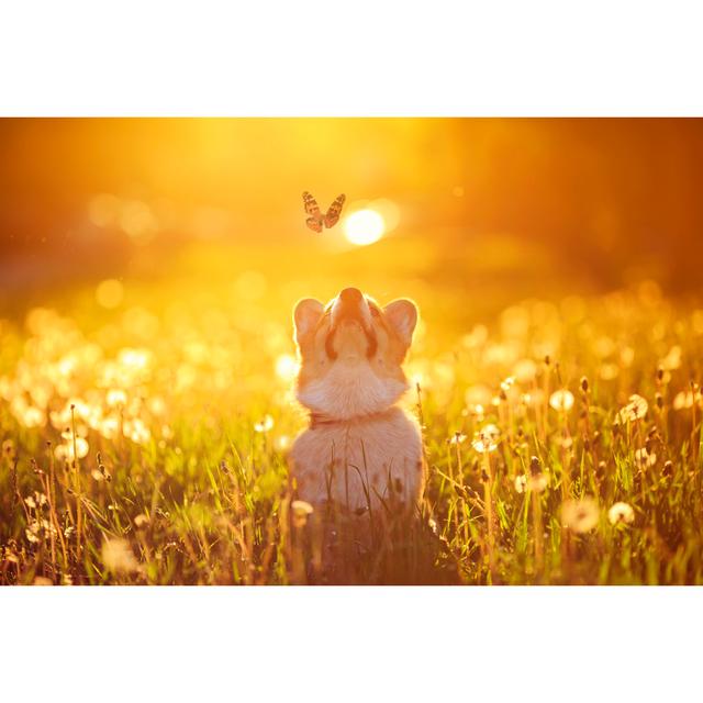 Beautiful Red Dog Puppy Corgi Fun Catches A Butterfly Flying On A Sunny Warm Summer Meadow by Nataba - Wrapped Canvas Print Ebern Designs Size: 51cm H on Productcaster.