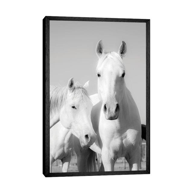 Arab Horses by Andrew Lever - Floater Frame Graphic Art on Canvas Gracie Oaks Format: Black Framed Canvas, Size: 101.60cm H x 66.04cm W x 3.81cm D on Productcaster.