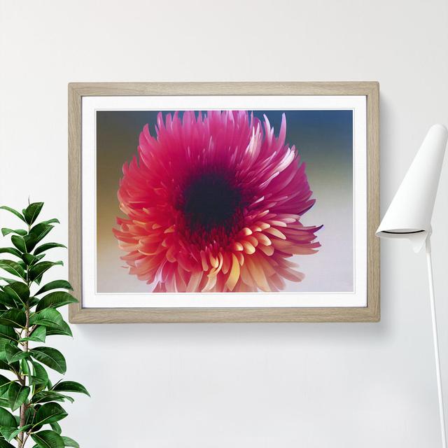 Vivid Flower - Picture Frame Graphic Art Marlow Home Co. Size: 34cm H x 46cm W, Frame Colour: Oak on Productcaster.