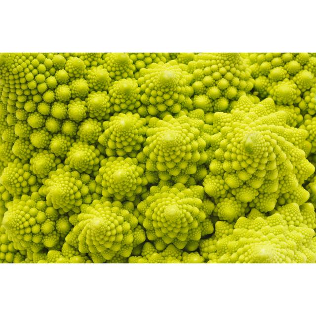 Romanesco Broccoli - Print 17 Stories Size: 20cm H x 30cm W on Productcaster.