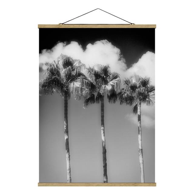 Stoffbild Palm Trees in front of Sky Black and White Sansibar Home Größe: 106,5 cm H x 80 cm B x 0,3 cm T on Productcaster.