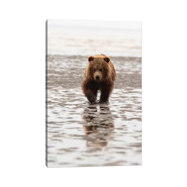 Grizzly Bear Walking Through Mud, Alaska, USA by George Theodore - Wrapped Canvas Photograph Alpen Home Size: 66.04cm H x 45.72cm W x 1.9cm D on Productcaster.