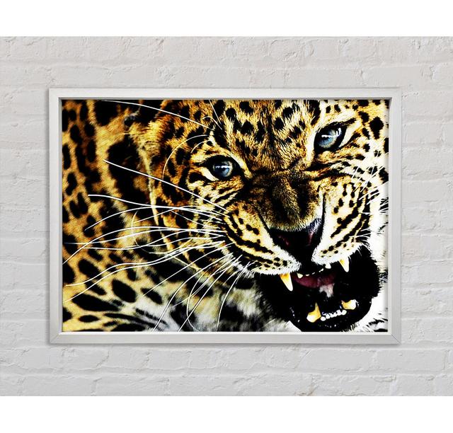 Leopard Roar - Print Bright Star Size: 59.7cm H x 84.1cm W x 3.3cm D on Productcaster.