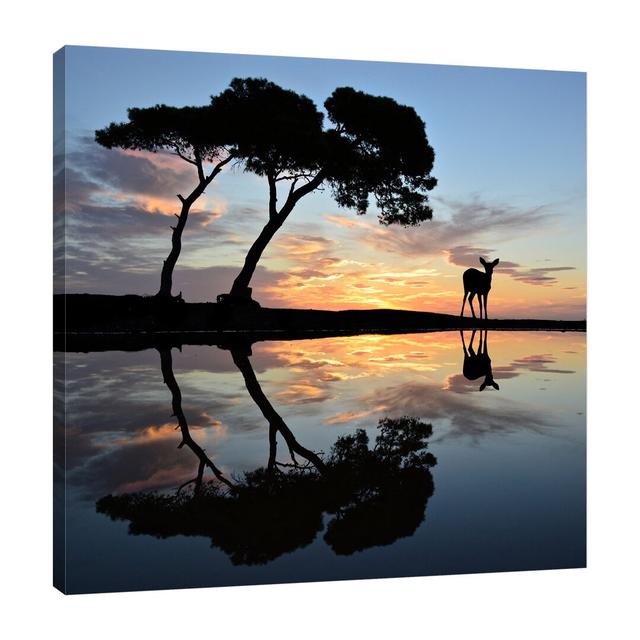 Life is Beautiful by Dominic Liam - Wrapped Canvas Photograph Print East Urban Home Size: 91cm H x 91cm W x 4cm D on Productcaster.